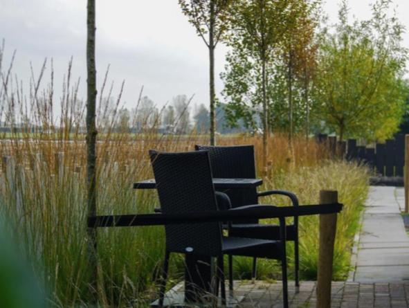 Vakantiewoning De Schelp Елемеет Екстериор снимка