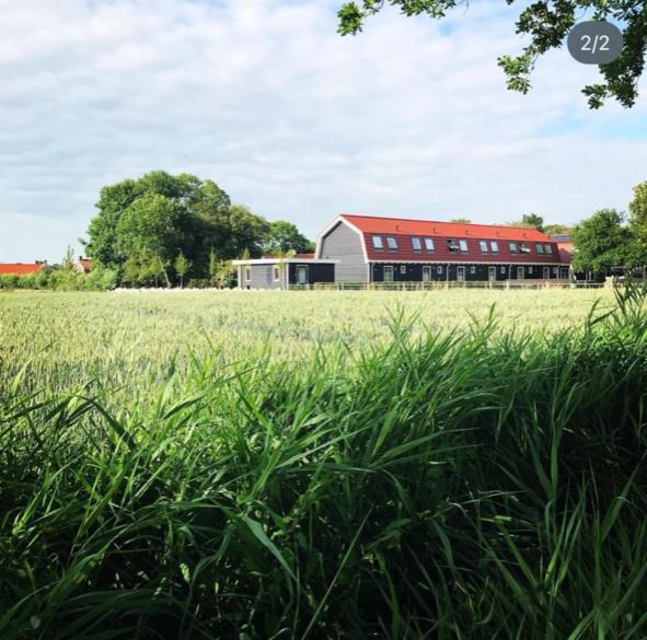 Vakantiewoning De Schelp Елемеет Екстериор снимка